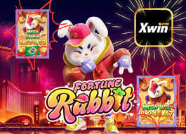 qual melhor horário para jogar fortune rabbit a noite ícone